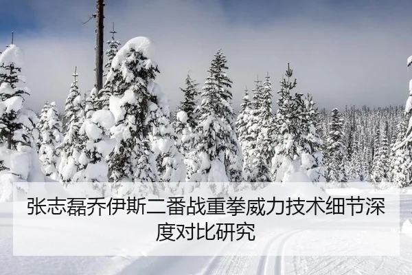 张志磊乔伊斯二番战重拳威力技术细节深度对比研究