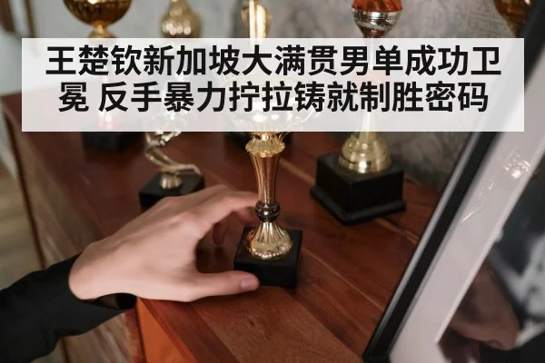 王楚钦新加坡大满贯男单成功卫冕 反手暴力拧拉铸就制胜密码